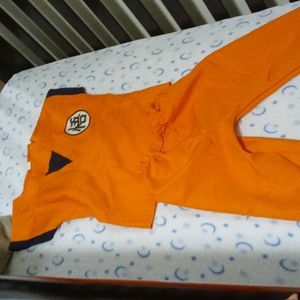 Dragonball Z custume